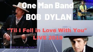 &quot;Til I Fell in Love with You&quot; Bob Dylan cover LIVE in Novato CA 2019