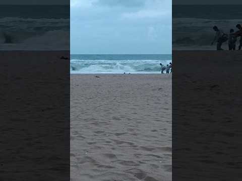 puri😍 #shikhakajahaan #deepshikhashorts #shorts #like #comment #subscribe #short #yt #viral #puri