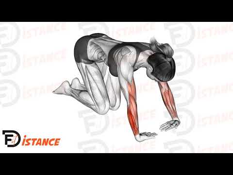 Exercice Étirement des fléchisseurs et extenseurs du poignet