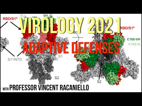 Virology Lectures 2021 #14 - Adaptive Defenses