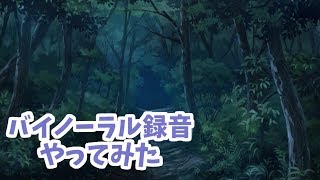 【ASMR】秋の夜道の散歩をバイノーラル録音してみた【イヤフォン推奨】