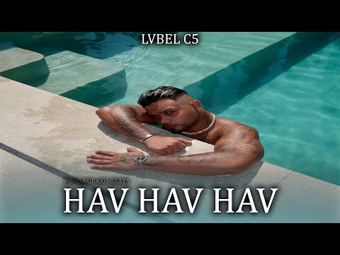 Lvbel C5 - HAVHAVHAV on Spotify Charts