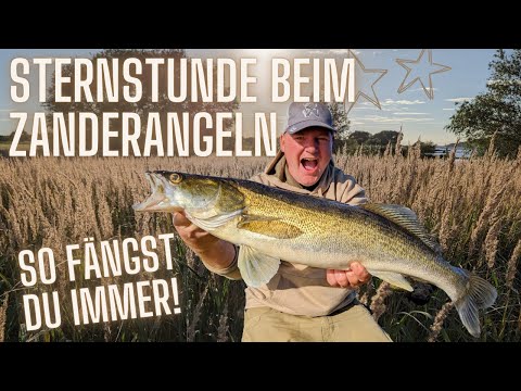Sternstunde beim Zanderangeln! Großes Glück an neuer Strecke -Tipps und Tricks zum Angeln auf Zander
