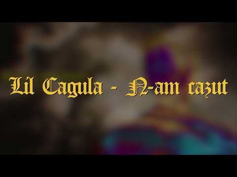 Lil Cagula - N-am cazut (Lyrics/Versuri)