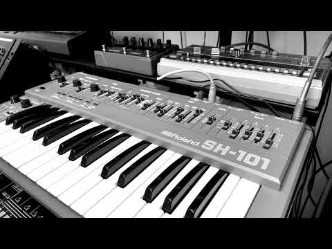 Roland SH-101 & TR-606