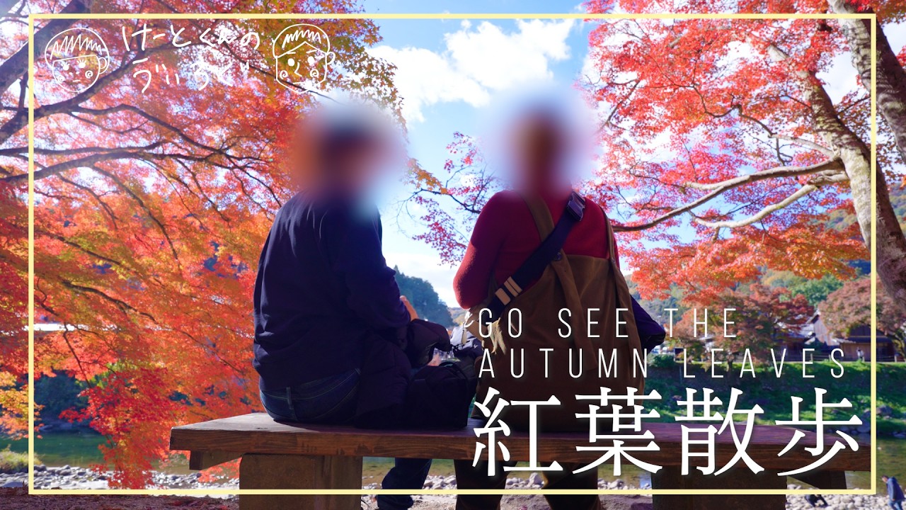 【香嵐渓】愛知の紅葉スポットへ【vlog】