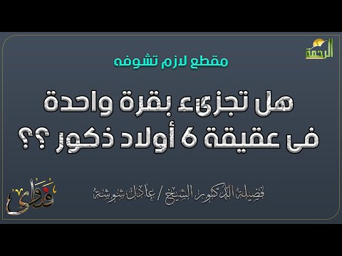 هل تجزىء بقرة واحدة فى عقيقة 6 أولاد ذكور ؟؟