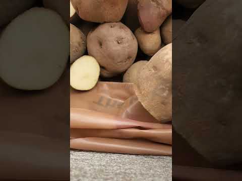 Rapid Potato Seed Prep: Fast Cutting for Gardeners