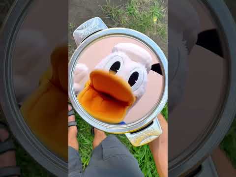 Pedro Pedro Pedro Pe 🦆🦝 #duck #funny