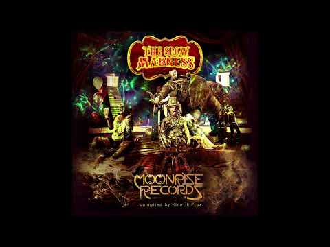 Paratrip - Continuum Madness V​A The Slow Madness