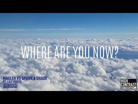 Maglev vs. Spark & Shade ft. Lily White - Freedom (Lyrics Video)