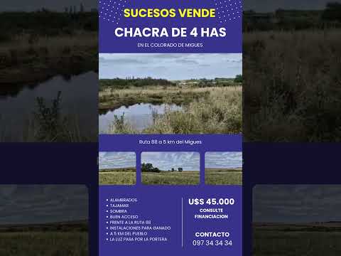 MIGUES RUTA 88 KM 18 COLORADO DE MIGUES: CHACRA DE 4 HAS