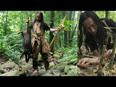 Survival Instinct - The 6 Month Survival Challenge In The Jungle - part 8