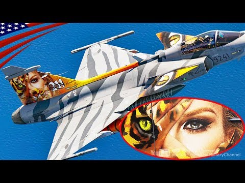 JAS-39 Gripen "Wildcat Women" Painting Jet - Czech Air Force 9241