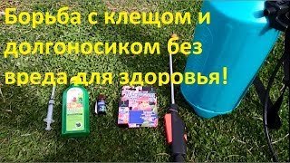 Чем опрыскивать клубнику весной от клеща