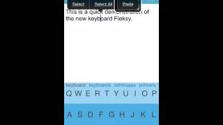 Updated Fleksy review