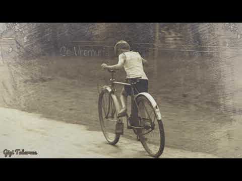 Gigi Tabarcea - Ce vremuri...