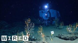 The Alvin Submarine Part 2: Incredible Views On-Board the Deep-Sea Vessel​
