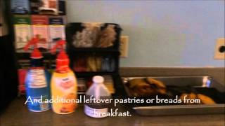 Cushing Dining Hall @ Smith College 2016 Cushing Dining Hall @ Smith College 2016