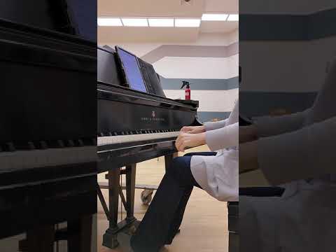 VIII. Bright is the ring of words, Songs of Travel. Ralph Vaughan Williams. (accompaniment)