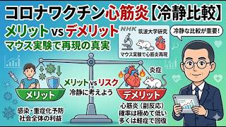 【メリットとデメリットで考えるべき】新型コロナワクチン副反応の心筋炎 マウス実験で再現 について　2026年5月11日