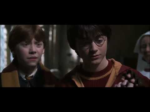 Harry Potter and the Chamber of Secrets - Hermione is Petrified