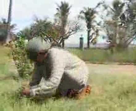 samy jao - rira clo herman moumousse robols