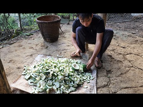 Caring for a boar about to give birth, Survival instincts, Building a life (Ep 193)