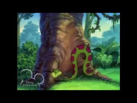 The Many Adventures of Banjo the Woodpile Cat Part 9 - DON'T FEED THE KITTY KAT!