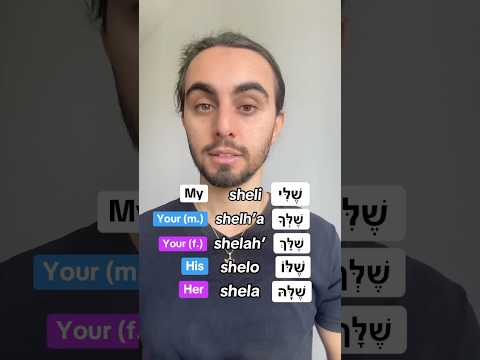 Possessives in Hebrew! 🇮🇱 Did you know them all? #hebrew #learnhebrew #ivrit #shorts
