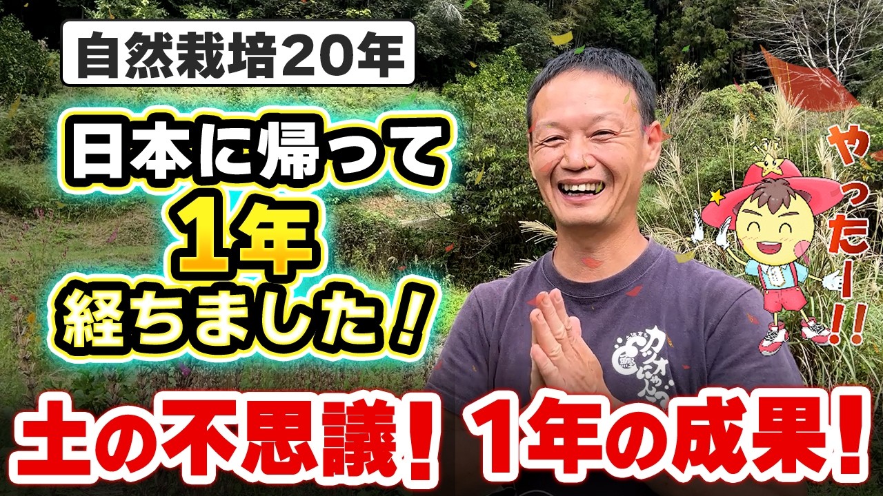 【自然栽培395】誰でもできる!雑草が変わるよ!週末農業でもできるよ!