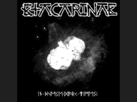 Etacarinae - An almost certain death