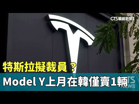 特斯拉擬裁員？　Model　Y上月在韓僅賣1輛