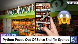 Python Peeps Out Of Spice Shelf in Sydney
