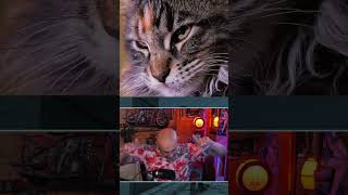 Le passage : 2eme partie - 👁️ L'oeil - 👋 La main #fun #danse #twitch