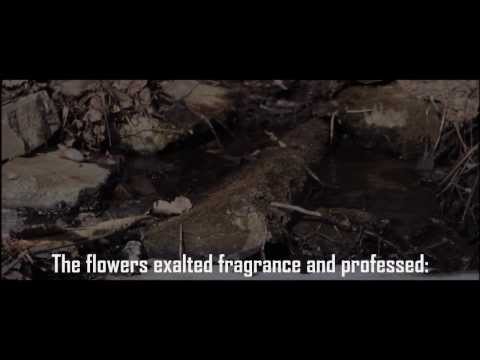 Adfaita | Arabic Nasheed | English Subtitles