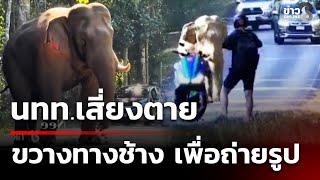 Download lagu Tourists risk their lives blocking elephants' path to take close-up photos of wild elephants | De... mp3