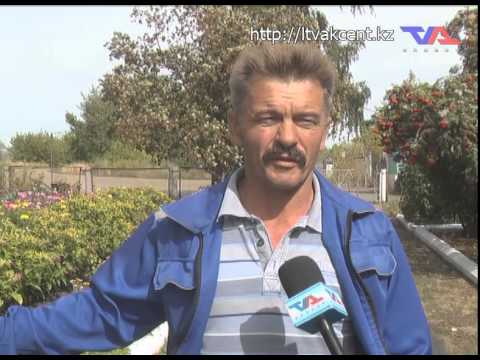 Лисаковск, выпуск программы «День» от 20 августа 2015г