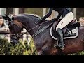 Hall Of Fame Equine Edit