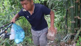 Finish Fishing