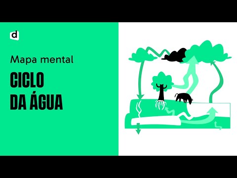 Let's talk about the Water Cycle?! | Biology | Want Me to Draw