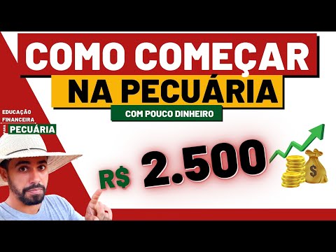 , title : 'COMO COMEÇAR NA PECUÁRIA COM R$ 2500 | Método infalível para iniciar a ganhar dinheiro com gado'