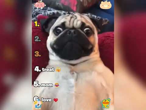 🤣👌👌👌2026 pov Must-Watch Crazy Clips Compilation #humor #fypシ #pov #fyp #foryou 😍😜