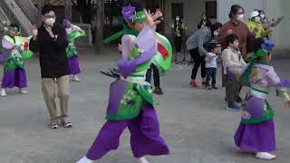 てんしゃばフェスタ踊り子隊『長生きサンバ』／ みんなで踊ろう！富士見町秋祭り2020