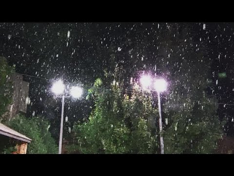 Here's what the snow looked like around the Twin Cities