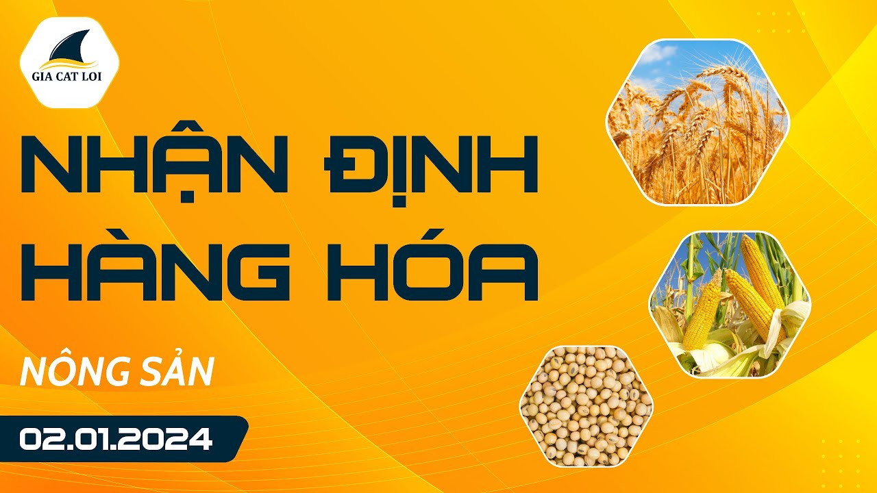 Nhận Định Hàng Hoá Nông Sản Ngày 02/01/2024