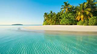 Tranquil Oasis | Serene Acoustic Guitar & Island Waves 🌴🎸