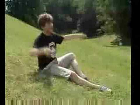 Gli insetti del podere