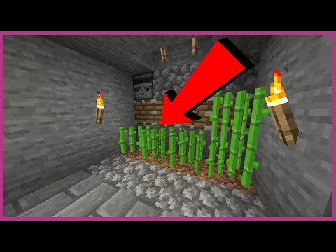 SUGAR CANE FARMA! - S05E06 MC LP