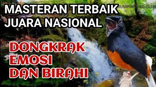 Download lagu masteran murai batu terapi air mp3